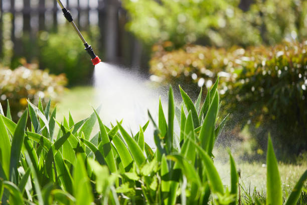 Tamper-Resistant Bait Stations for Rodents in Discovery Harbour