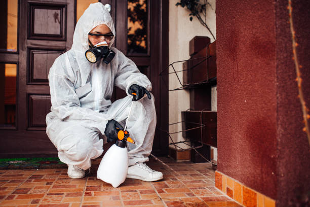 Attic and Crawl Space Rodent Treatment in Discovery Harbour